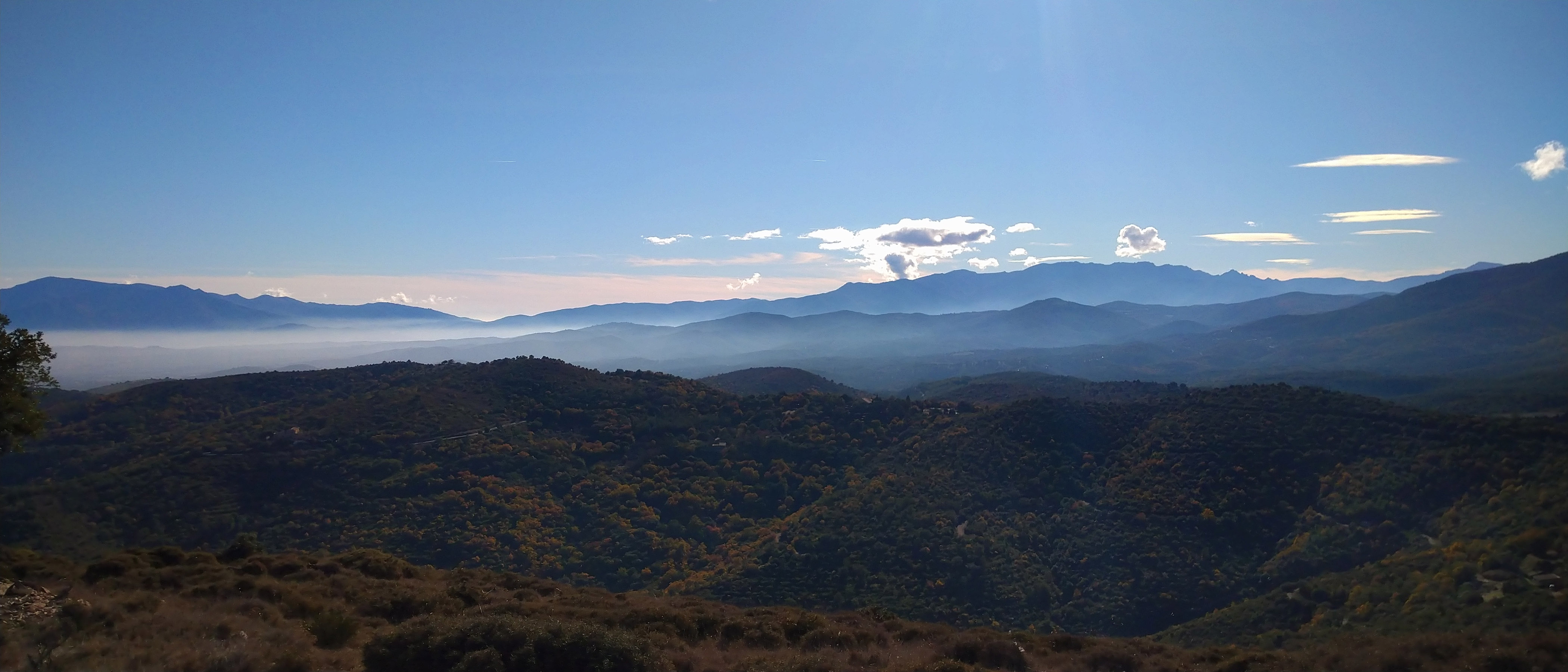 Martin Toulotte - Psychanalyste à Montpellier