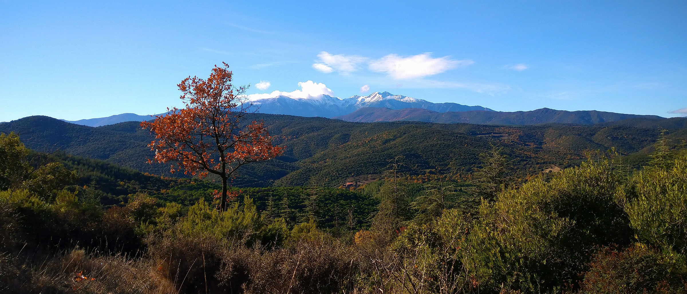  Martin Toulotte - Psychanalyste à Montpellier