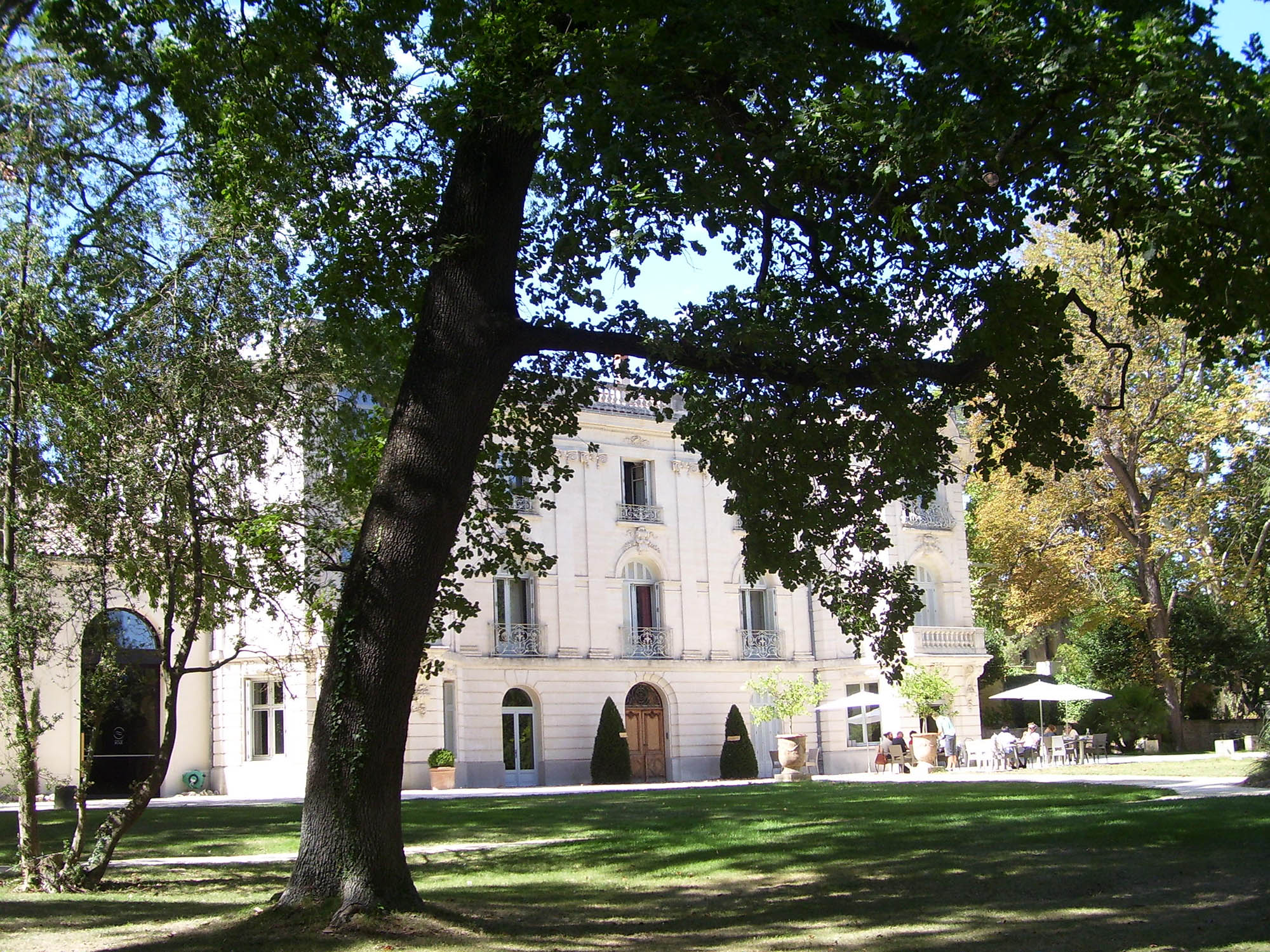  Martin Toulotte - Psychanalyste à Montpellier